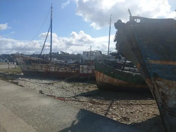 Boats on the shore