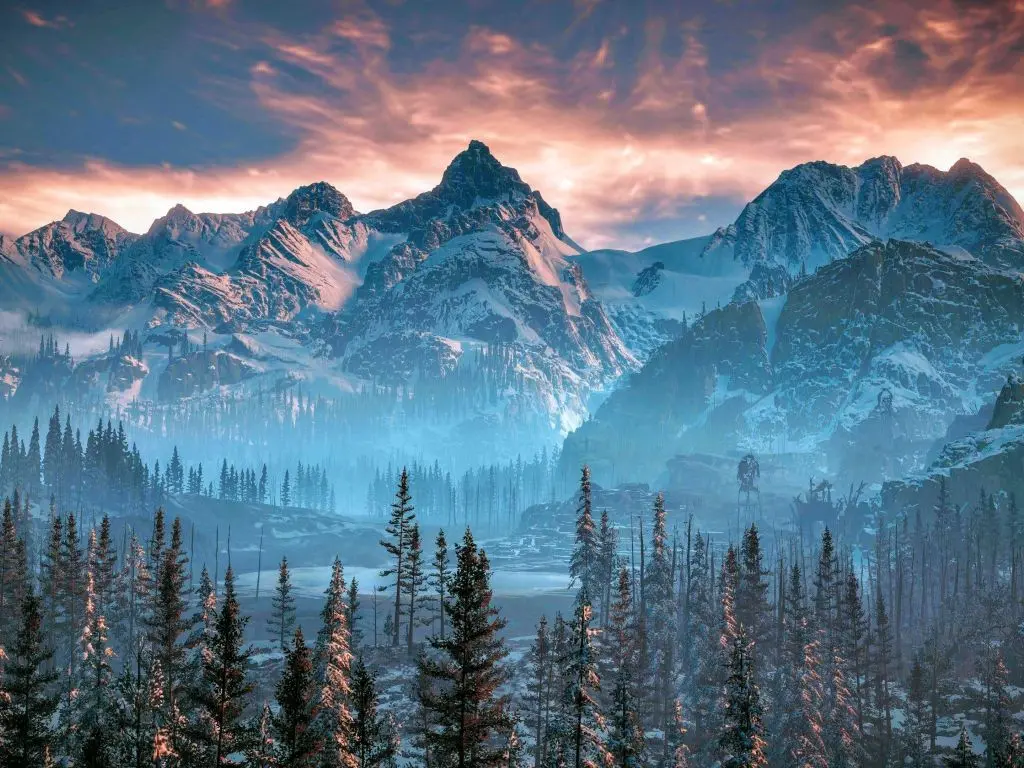 Forest with mountains in the background